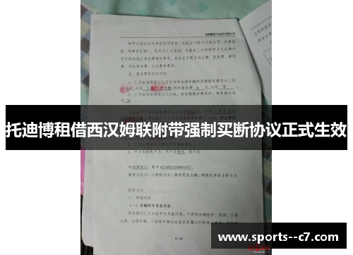 托迪博租借西汉姆联附带强制买断协议正式生效